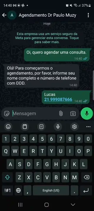 Detalhes da interface final do chatbot